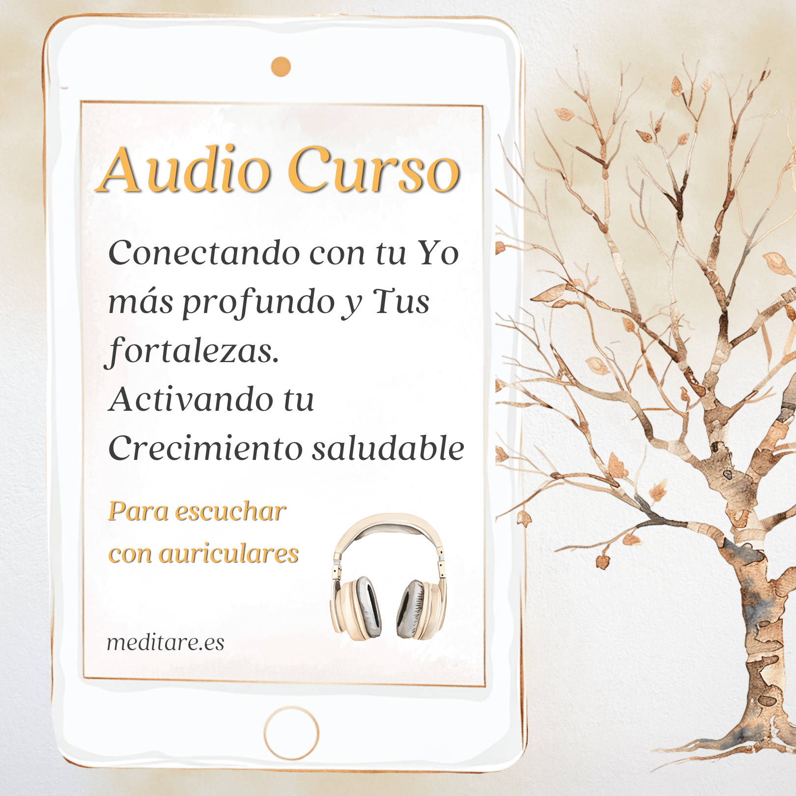 AUDIO-CURSOS-1.png